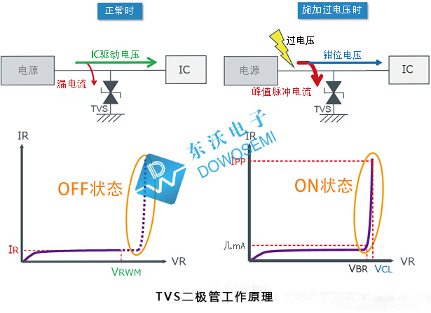 TVS管.jpg